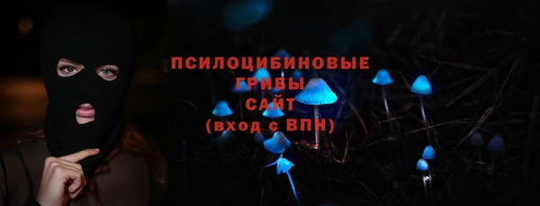 ПСИЛОЦИБИНОВЫЕ ГРИБЫ Горняк